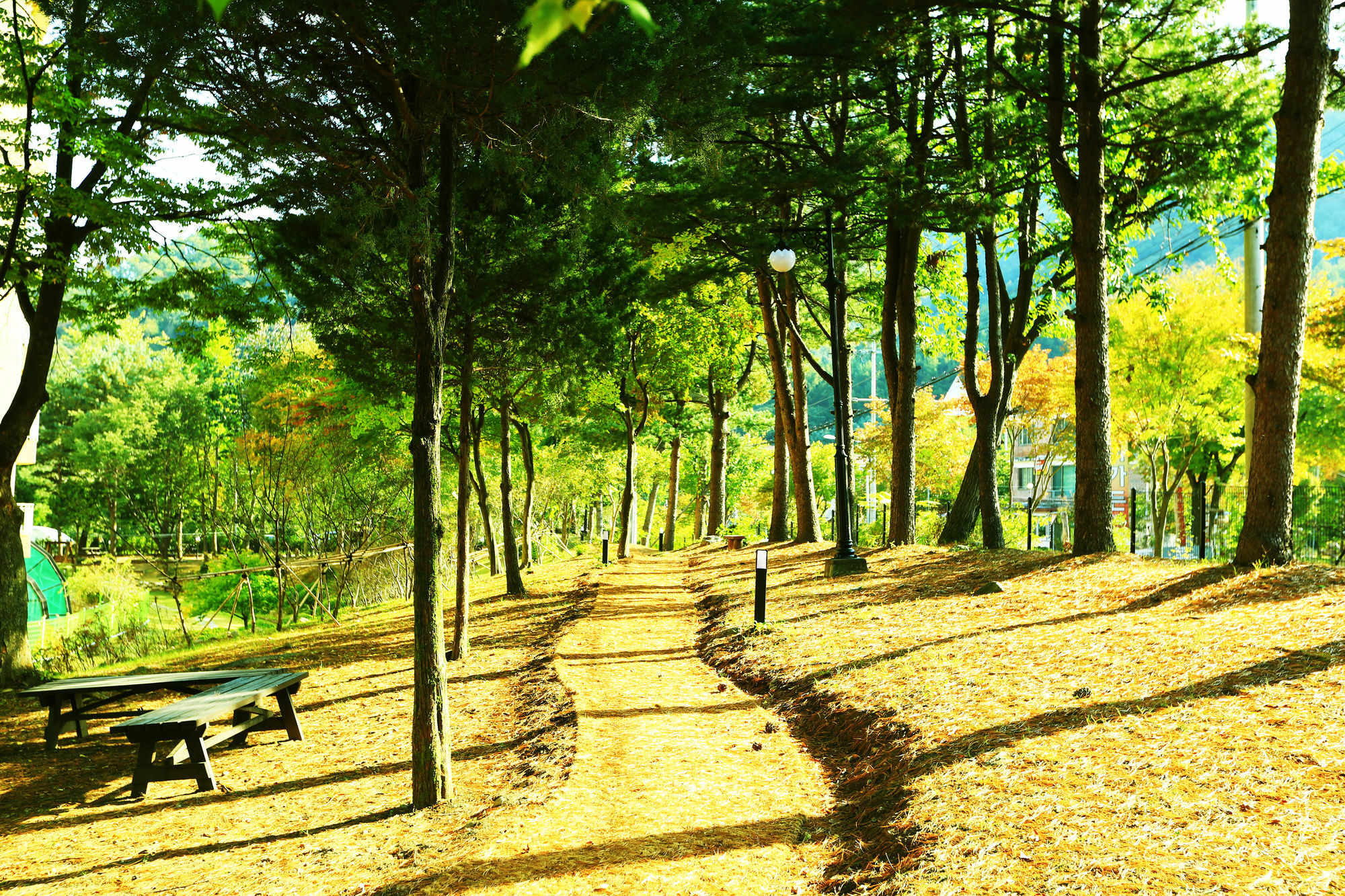 Kensington Resort Gapyeong Exterior photo